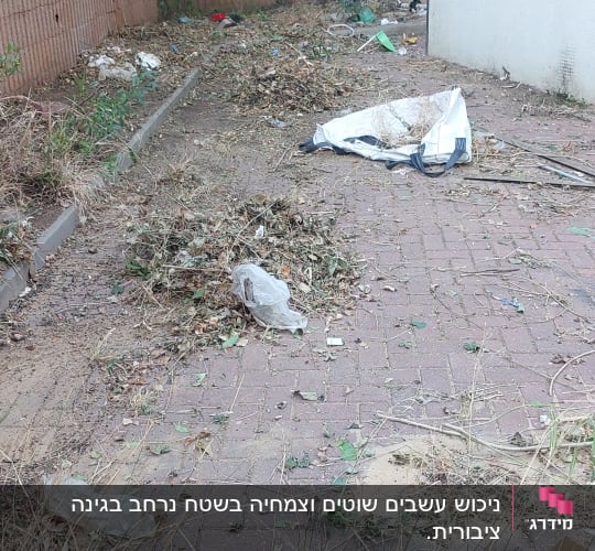 עלים יבשים וענפים על הקרקע, שקית גינה ריקה